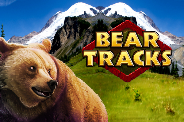 Bear Tracks