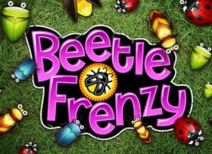 Beetle Frenzy