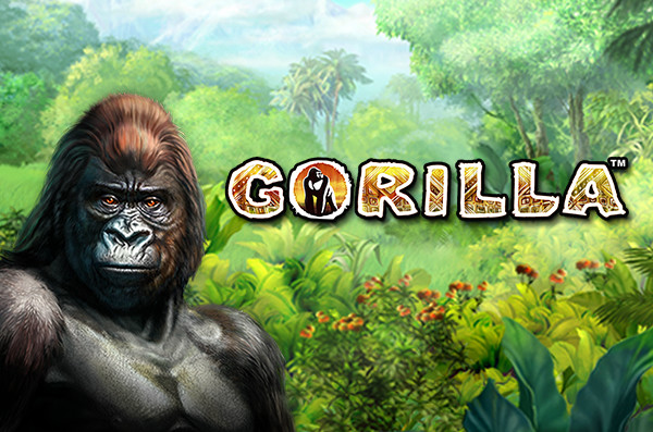 Gorilla