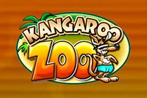 Kangaroo Zoo