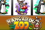 Kangaroo Zoo