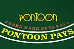 Pontoon Blackjack