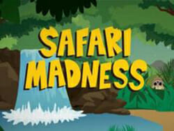 Safari Madness