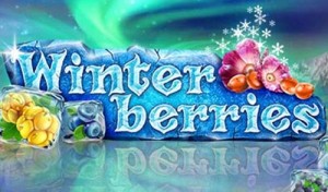 Winterberries